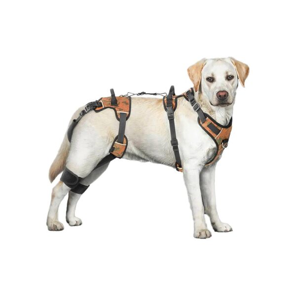 Senior Dog Lift Harness with Shoulder Straps and Handles for Rear Back Leg Support