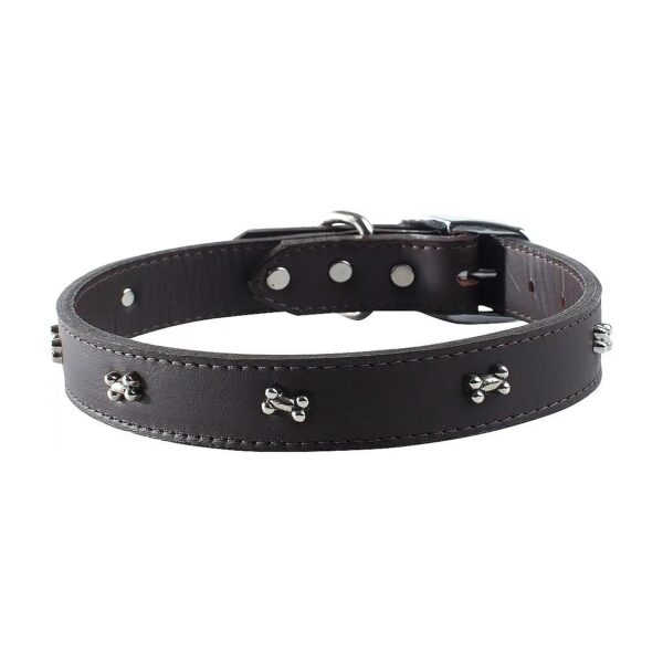 Signature Leather Dog Collar with Sable Color and Chrome Bone Ornaments, 10 inches