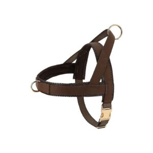 Simple and Effective Dog Harness for Medium Large Dogs with No Pull Design