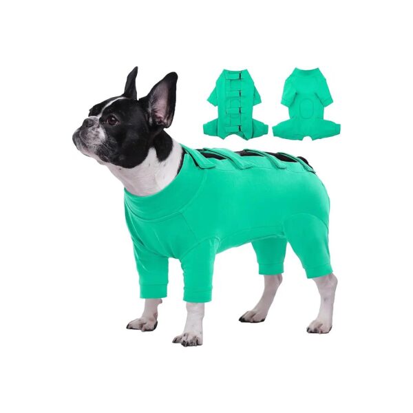 Simple and Practical Dog Recovery Suit for Pets