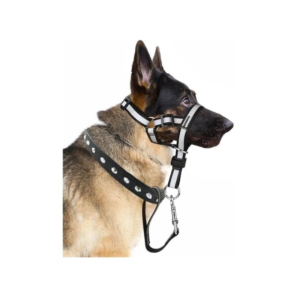 Simple and Reflexive Dog Walking Halter for Adult Dogs