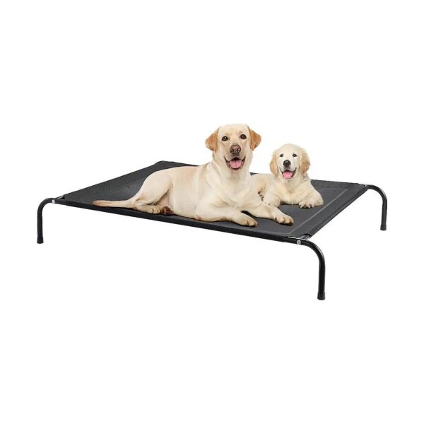 Simple and Sturdy Elevated Dog Bed with Breathable Mesh and Rubber Feet for Pets