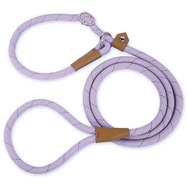 Six Foot Reflective Dog Slip Leash for Medium and Large Breed Dogs