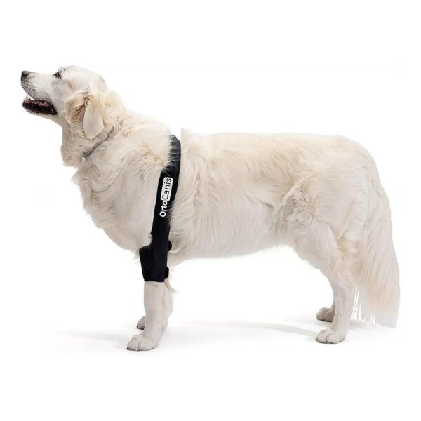 Size XL Elbow Protector for Large Adult Dogs with Joint Pain