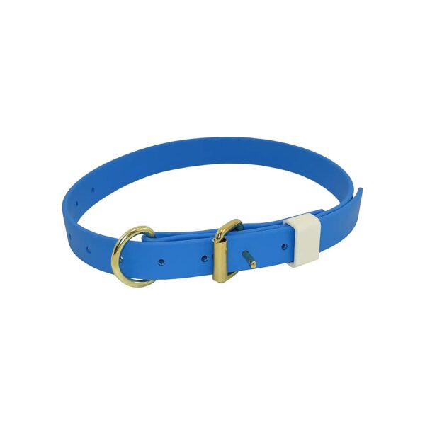 Sky Blue Adjustable Plastic Dog Collar for Adolescent Dogs