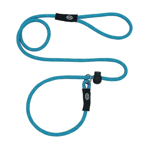 Skyblue Reflective Slip Lead Leash with Stopper Loop Rope for Small to Large Dogs