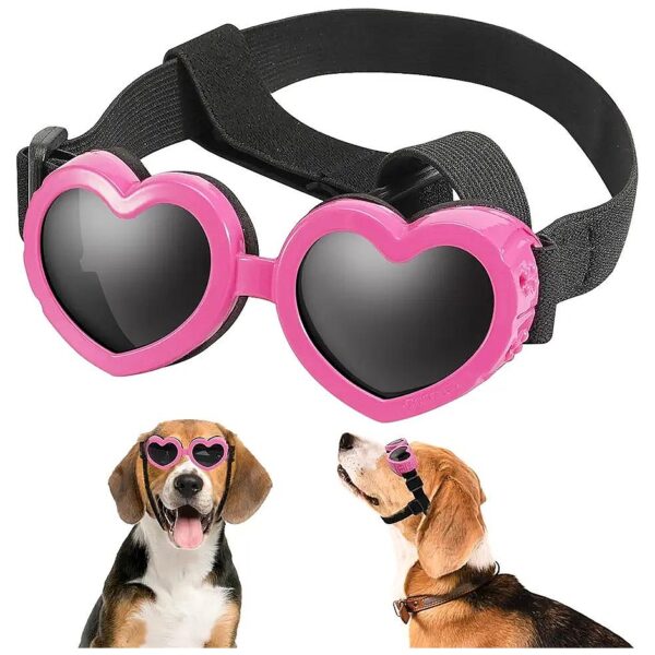 Small Breed Dog Goggles with Adjustable Strap UV Protection for Puppy Eye Wear