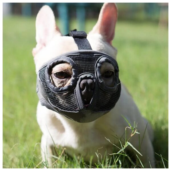 Small Breed Short Snout Dog Muzzle in Grey with Adjustable Strap and Eyehole