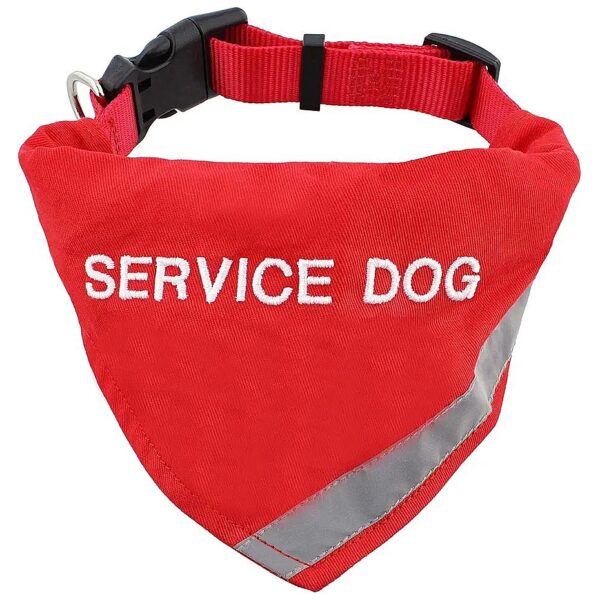 Small Dog Accessories with Reflective Bright