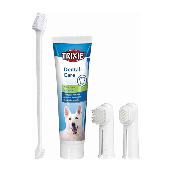 Small Dog Dental Care Kit with Toothpaste and Toothbrush for Healthy Teeth and Gums