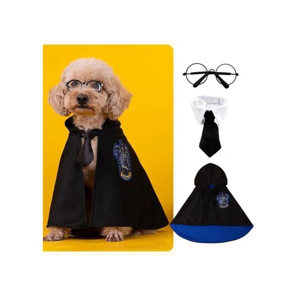 Small Dog Halloween Costume Set - Wizard Dress with Witch Cape and Bowtie Glasses in Blue