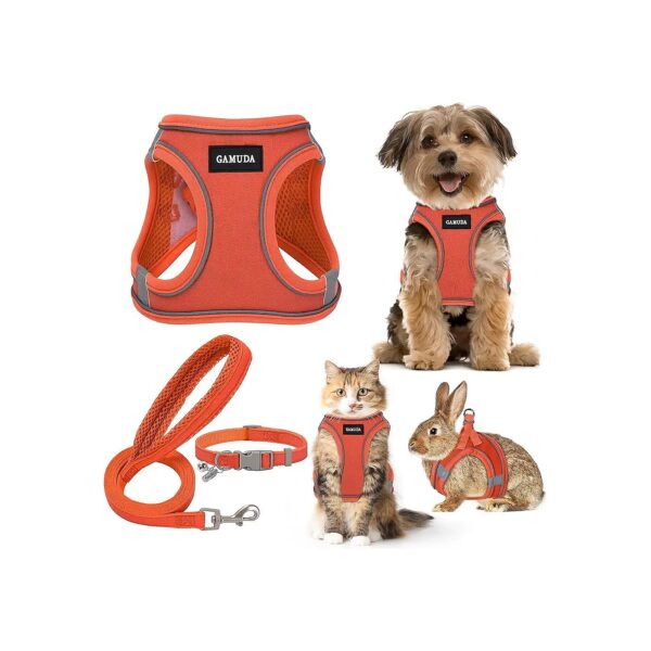 Small Dog Harness Collar and Leash Set with Adjustable Neck Size for a Comfortable Fit