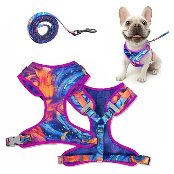 Small Dog Harness and Leash Set with Adjustable Vest and Reflective Strips for Agility