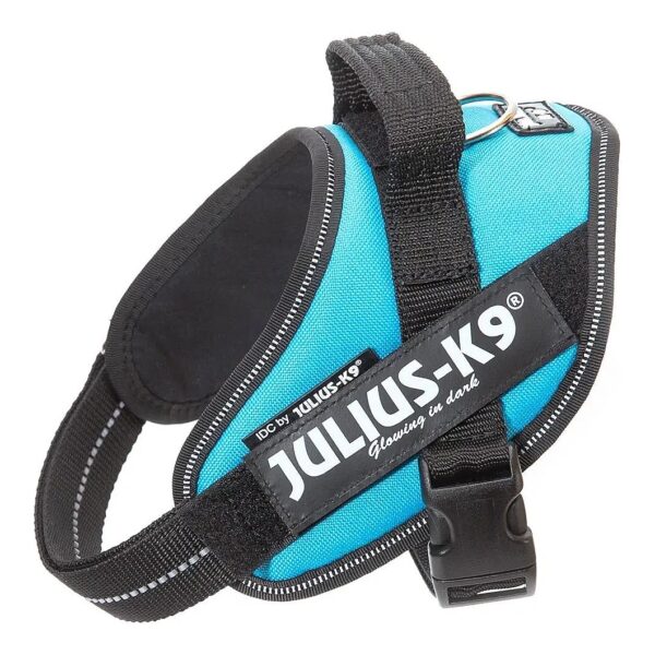 Small Dog Harness for Busy Lives One-Click Fit Size XS/Mini-Mini Aquamarine Powerharness