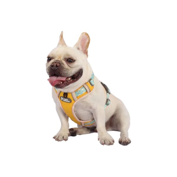 Small Dog Harness for Easy Walking and Control with Reflective Straps for Safety