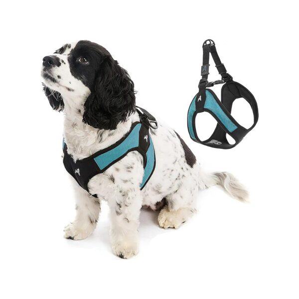 Small Dog Harness with Patented No Pull Design and Quick Release Buckle