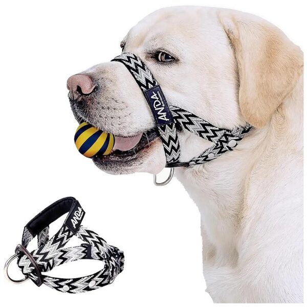 Small Dog Headcollar with Neoprene Nose Pad for Breathable Comfort