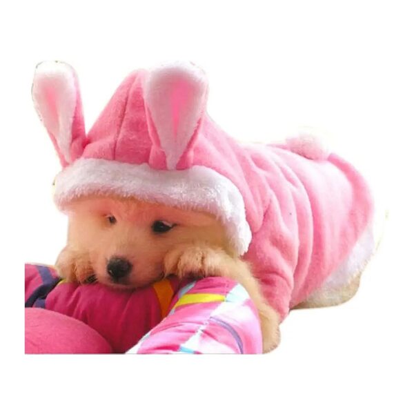 Small Dog Rabbit Hoodies Clothes Coat Bunny Autumn Winter Halloween for Pets