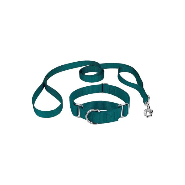 Small Dog Teal Nylon Martingale Collar with Dual Handle Leash