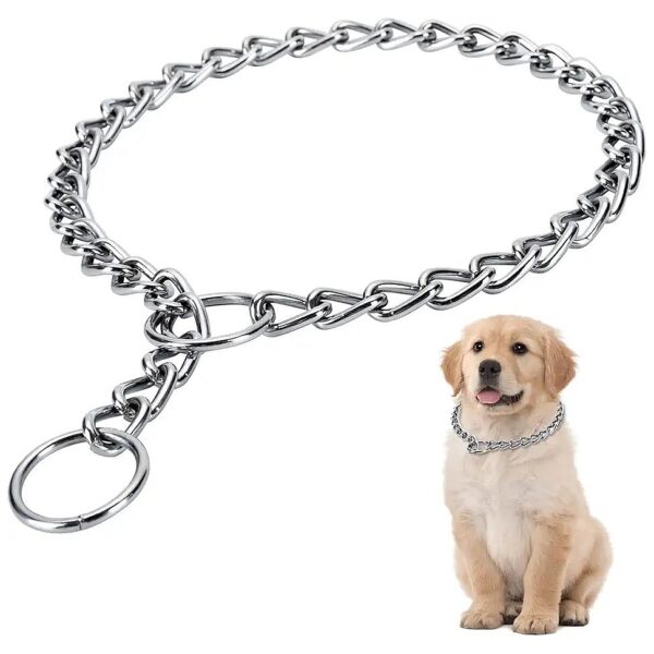 Small Dog Training Collar with Chain Dog Choke Collar and Chew Proof Adjustment