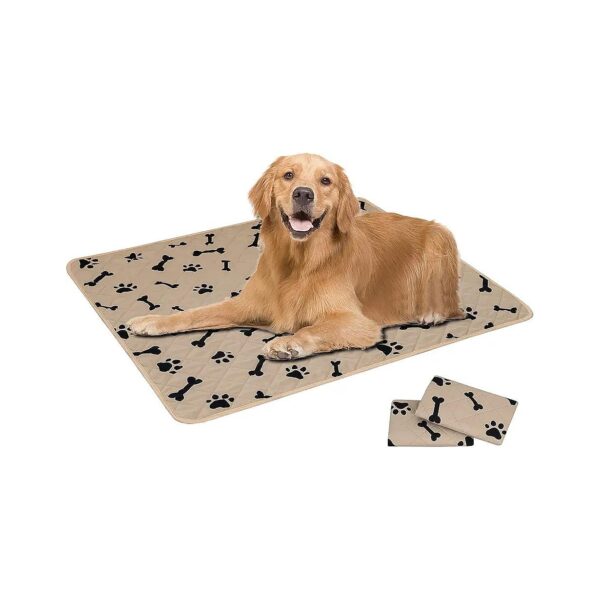 Small Dog Training Pads Leak-Proof and Absorbent Pet Rugs