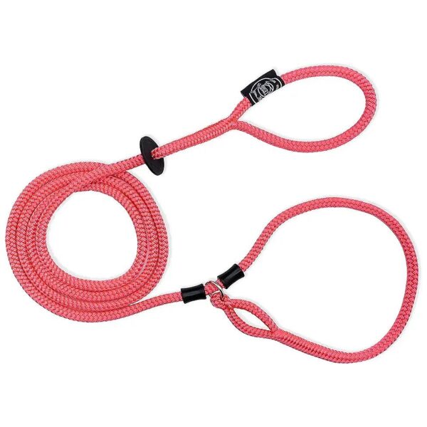 Small Medium Dog Harness Leash Set Prevents Pulling and Escaping