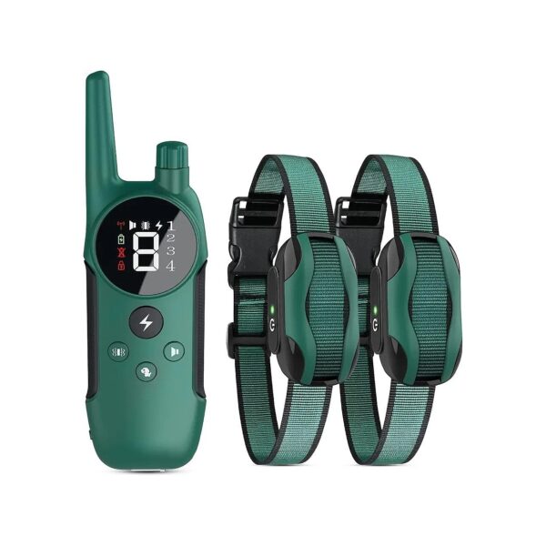 Small Medium Large Dog Training Collar with Safe Shock