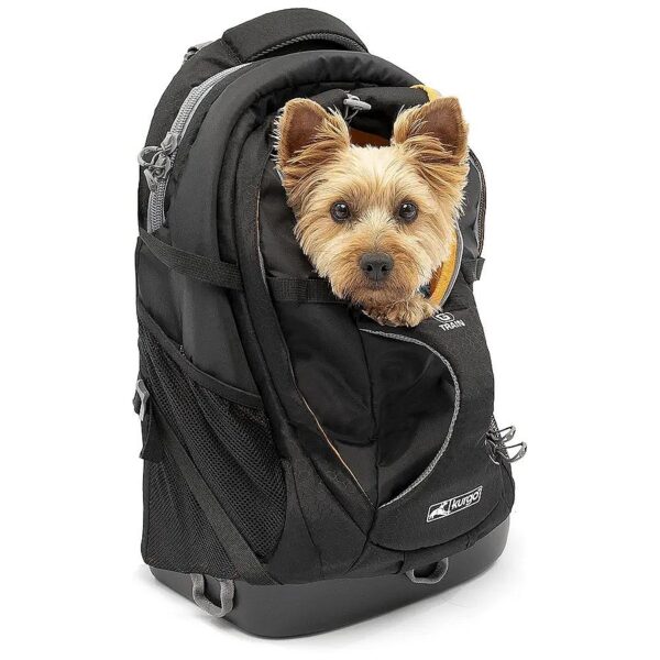 Small Pet Backpack for Hiking and Travel with Waterproof Bottom