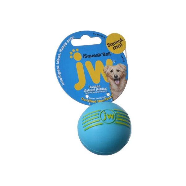 Small Pet Squeak Ball, Non-Toxic Materials and Durable Construction