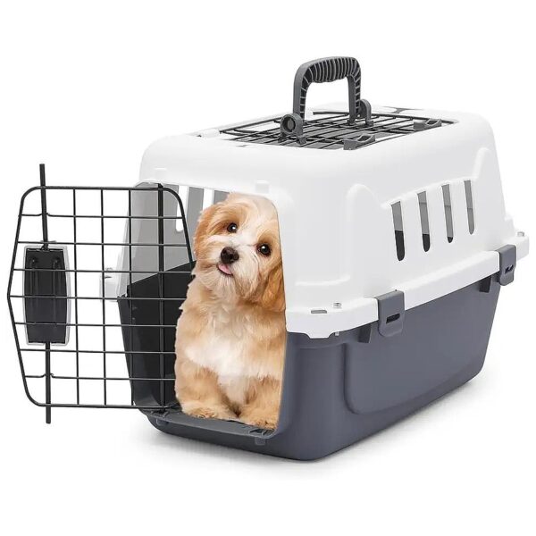 Small Pet Travel Carrier with Ventilation and Security Lock Design for Pets up to 10 lbs