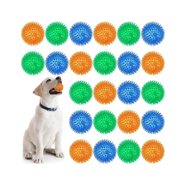 Small to Medium Breed Dog Chew Toys 24 Pack Squeaky Balls for Puppy Training Teeth Health