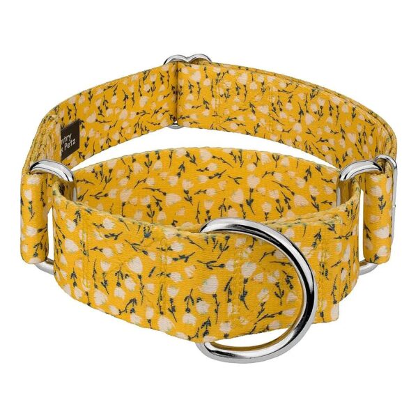 Small to Medium Breed Dog Collar with Spring Inspired Floral Design