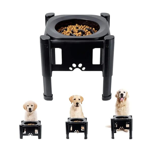 Small to Medium Dog Bowls with 3 Heights and Non-Slip Base for Comfort