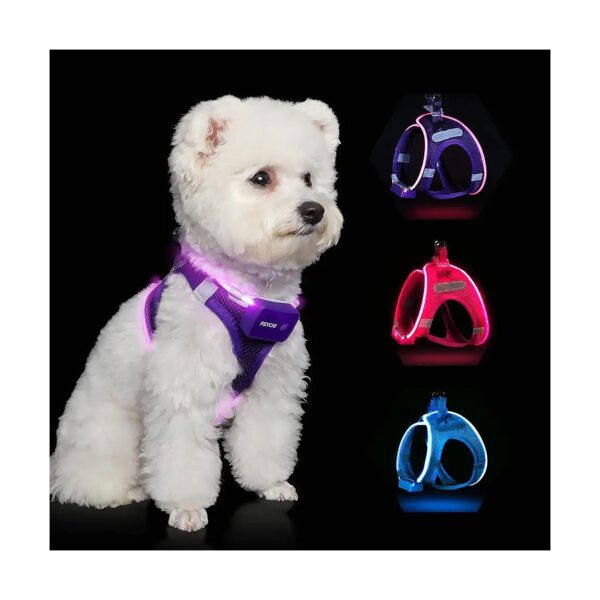 Small to Medium Size Dogs LED Light Up Reflective Dog Vest Harness for Night Walking