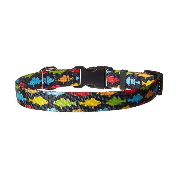 Small-3/4 Wide Rainbow Fish Collar for Small Necked Dogs 10-14 Inches