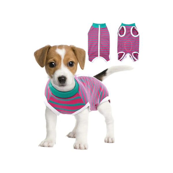 Snugly Onesie Suit for Male Female Dogs Post Surgical Recovery