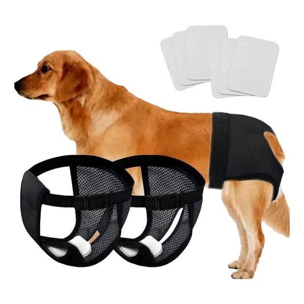 Soft Absorbent Dog Sanitary Diapers with Breathable Mesh Hole Design Black Medium Size