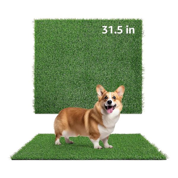 Soft Artificial Grass for Dogs 5 x 5 Inches for Pet Potty Training and Play