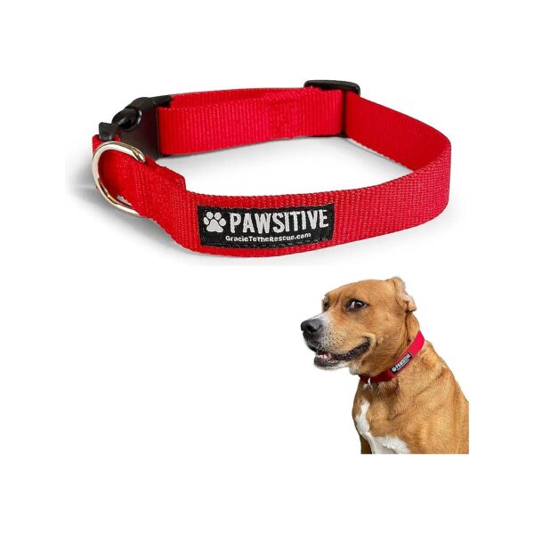 Soft Bamboo Dog Collar for Small Medium and Large Dogs Hypoallergenic