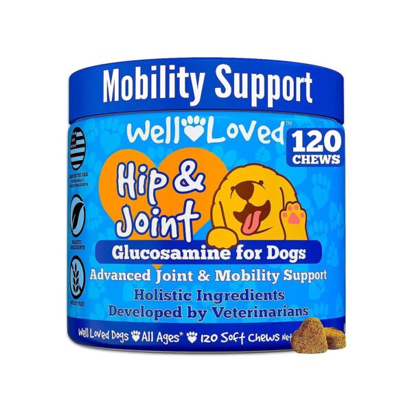 Soft Chew Joint Supplement for Dogs with Glucosamine and Chondroitin