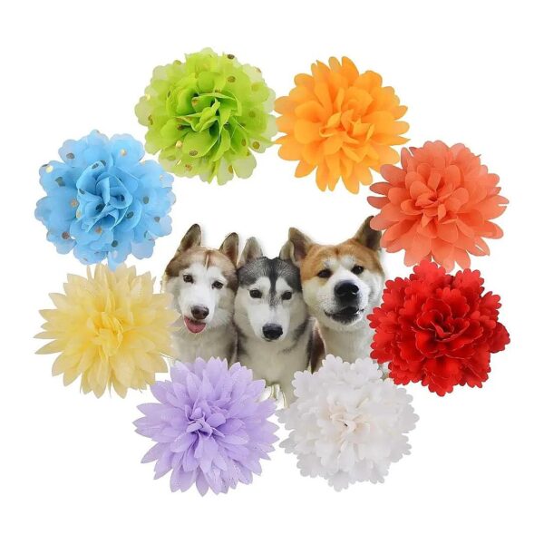 Soft Cloth Flower Collar Charms for Medium Large Dogs and Cats with 8 Piece Variety Pack