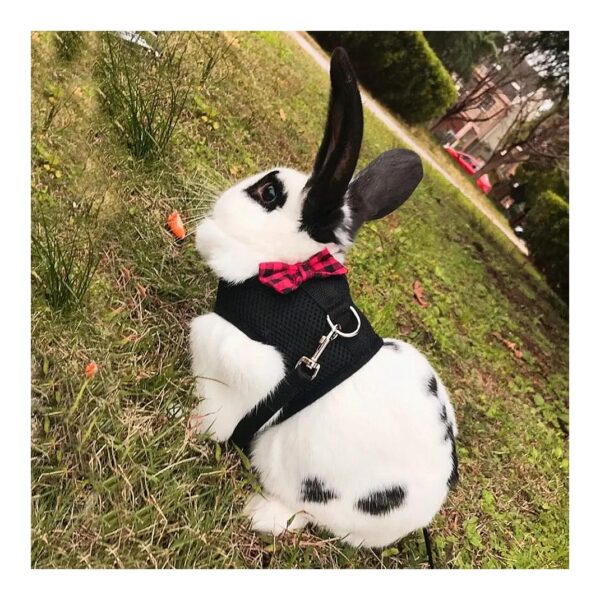 Soft Cotton Rabbit Harness with Reflective Leash for Small Animals Black Medium