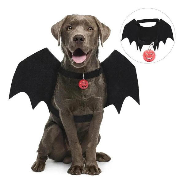 Soft Felt Dog Bat Cosplay Costume with Black Wings and Pumpkin Bell for Medium Large Dogs