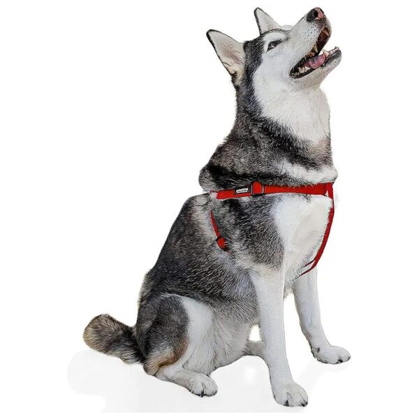 Soft, Hypoallergenic Hemp Dog Harness for Small, Medium, and Large Dogs in Red