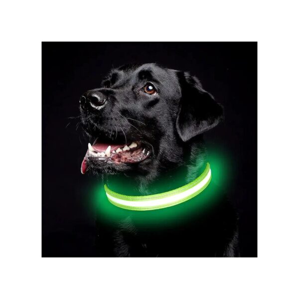 Soft LED Dog Collar with Adjustable Length and 3 Light Modes for Small Medium Large Dogs