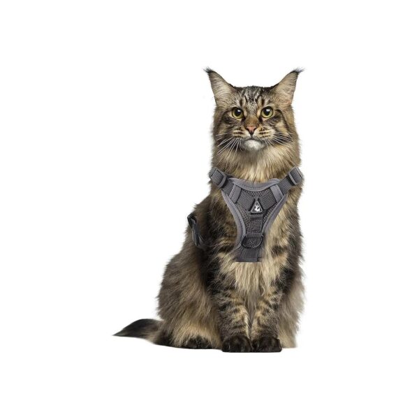 Soft Mesh Cat Carrier Adjustable Chest Harness for Small Cats and Puppies Medium Size XL