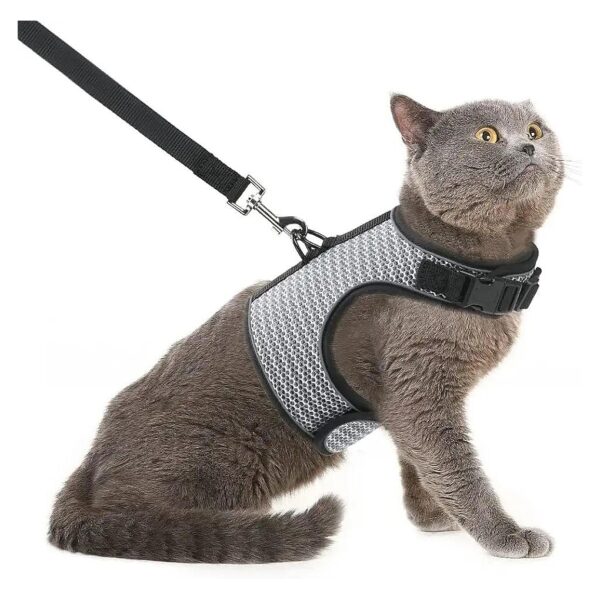 Soft Mesh Cat Harness and Leash Set for Small Dogs and Cats