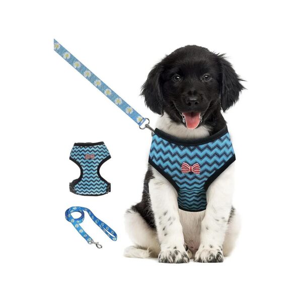 Soft Mesh Dog Vest Harness with Adjustable Reflective Leash for Small and Medium Breeds