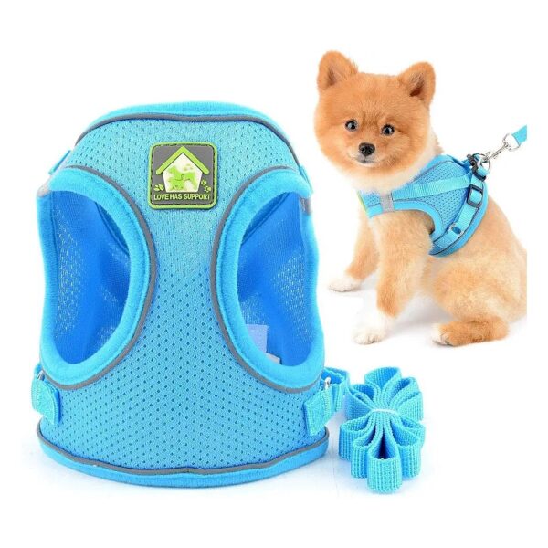 Soft Mesh Puppy Harness with Leash, Safe and Comfortable for Small Medium Breed Dogs