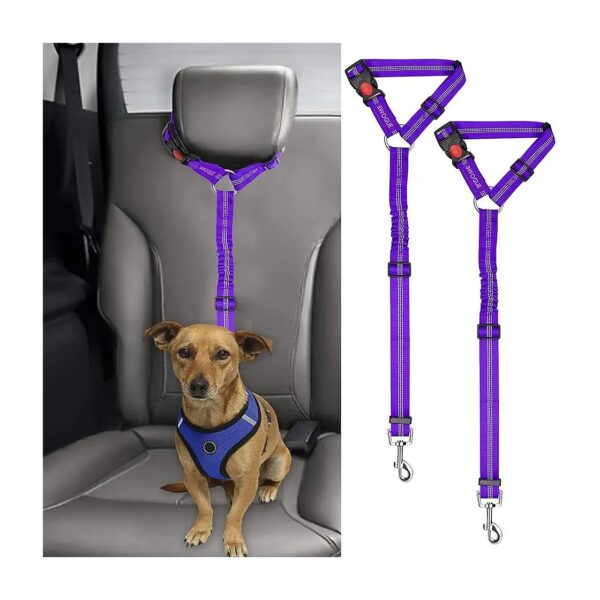 Soft Nylon Dog Harness Leash with Adjustable Length and Elastic Bungee for Comfort